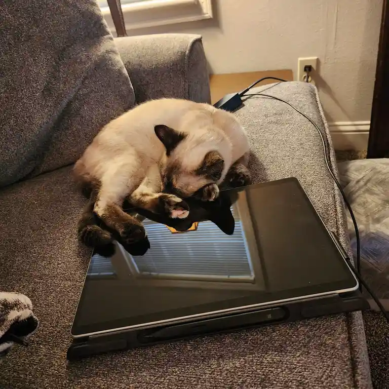 A siamese cat is curled up asleep on a tablet computer resting on a gray couch, its paws draped over the device's screen…