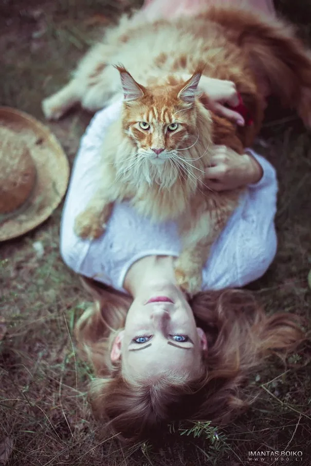 Is This Cat Really Up to No Good?