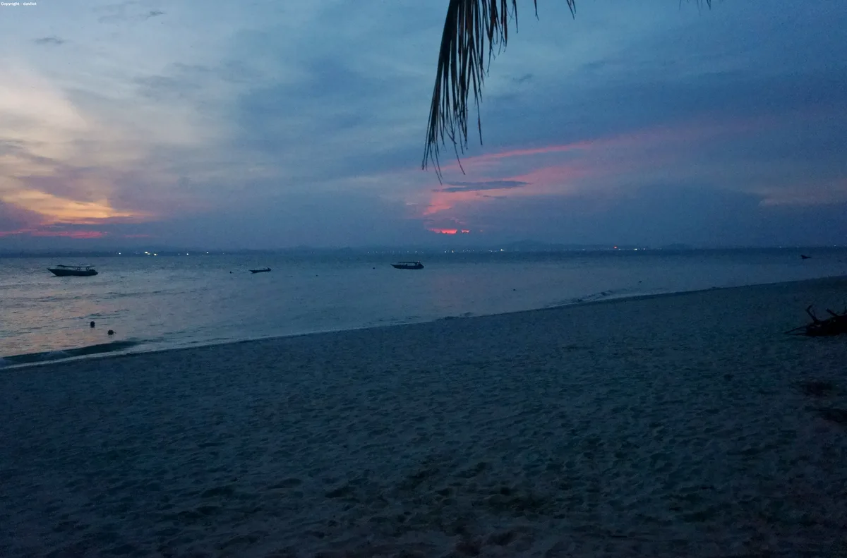 A serene beach at dusk with a pink and orange sunset over the ocean, silhouetted boats, and a palm frond in the top right…