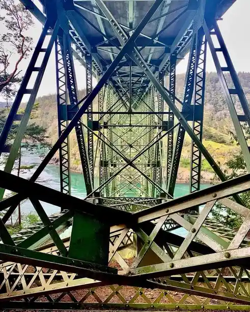 The Bridge: A Pathway to New Journeys
