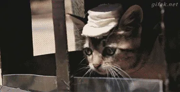 A sequence of six images shows a tabby cat wearing a tiny white hat driving a rusty, old-fashioned truck through a dusty…