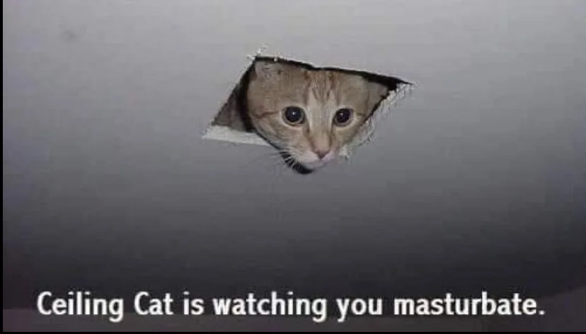 The Ultimate Collection of Memes Volume 499