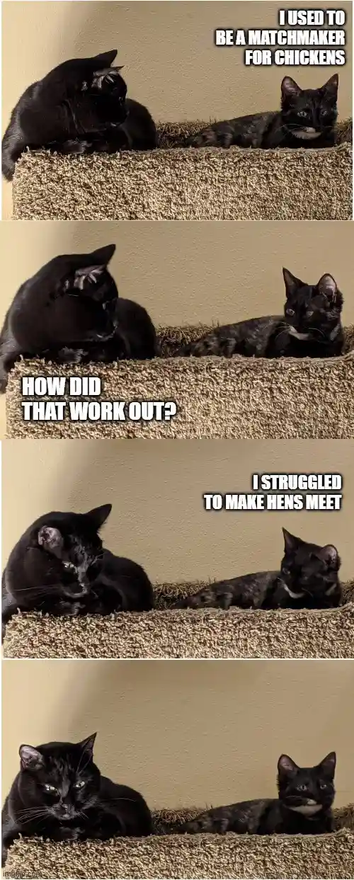 The Adventures of Splunk and Smudge