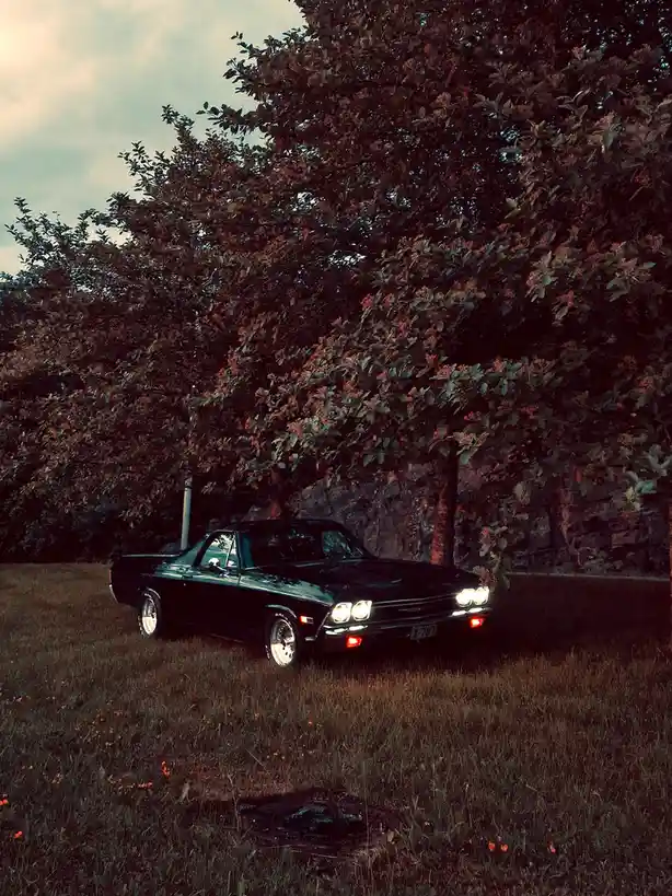 A black classic American muscle car with its headlights on is parked in a grassy field next to a large tree with reddish…