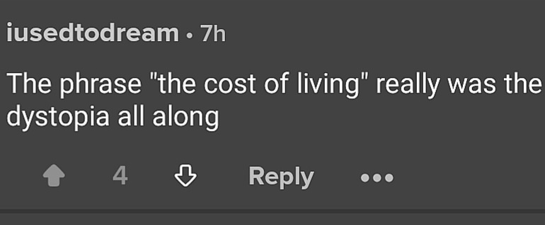 A screenshot of a Reddit comment by user 'iusedtodream' posted 7 hours ago, which reads 'The phrase "the cost of living"…