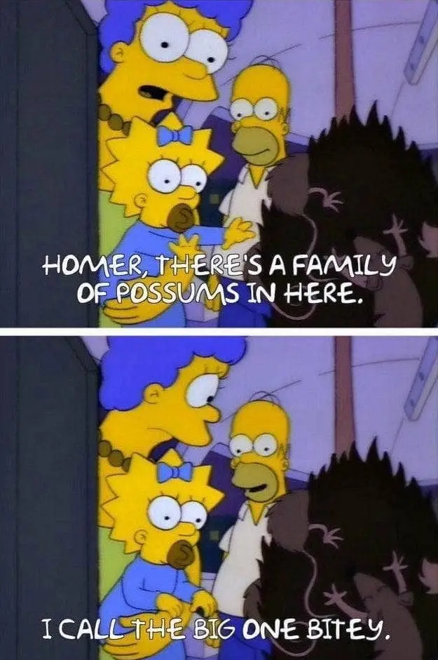 The image is a two-panel meme from The Simpsons. In the top panel, Lisa Simpson points at a group of possums and says…