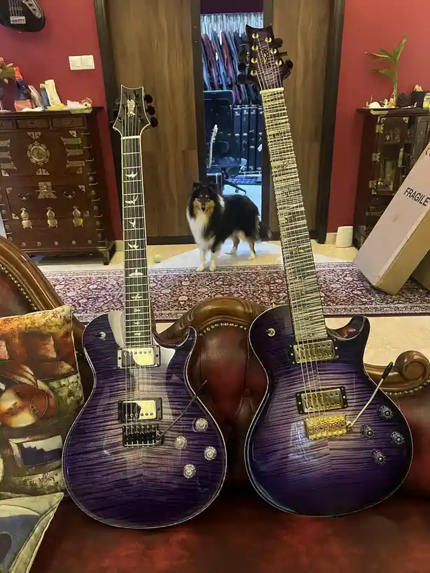 Purple PRs and Singlecut Trems: A Guitarist's Dream
