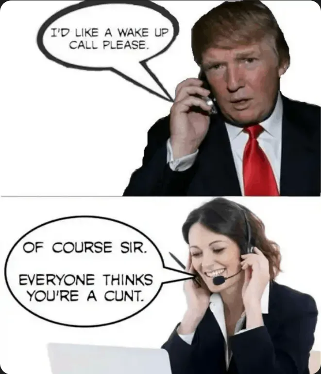 The image is a two-panel meme. The top panel shows Donald Trump on a phone, with a speech bubble saying 'I'D LIKE A WAKE UP…