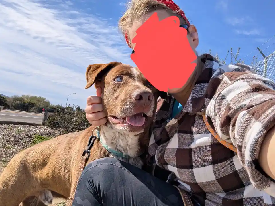 A person wearing a red bandana and a brown-and-white plaid shirt is taking a selfie outdoors with a brown dog that has one…