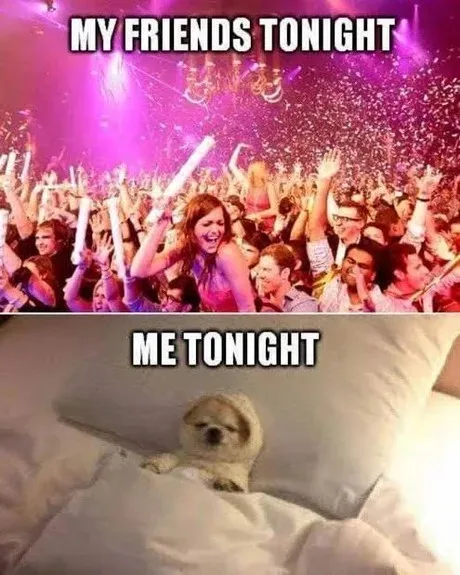 The image is split into two panels. The top panel shows a large, energetic crowd at a concert with bright lights and…