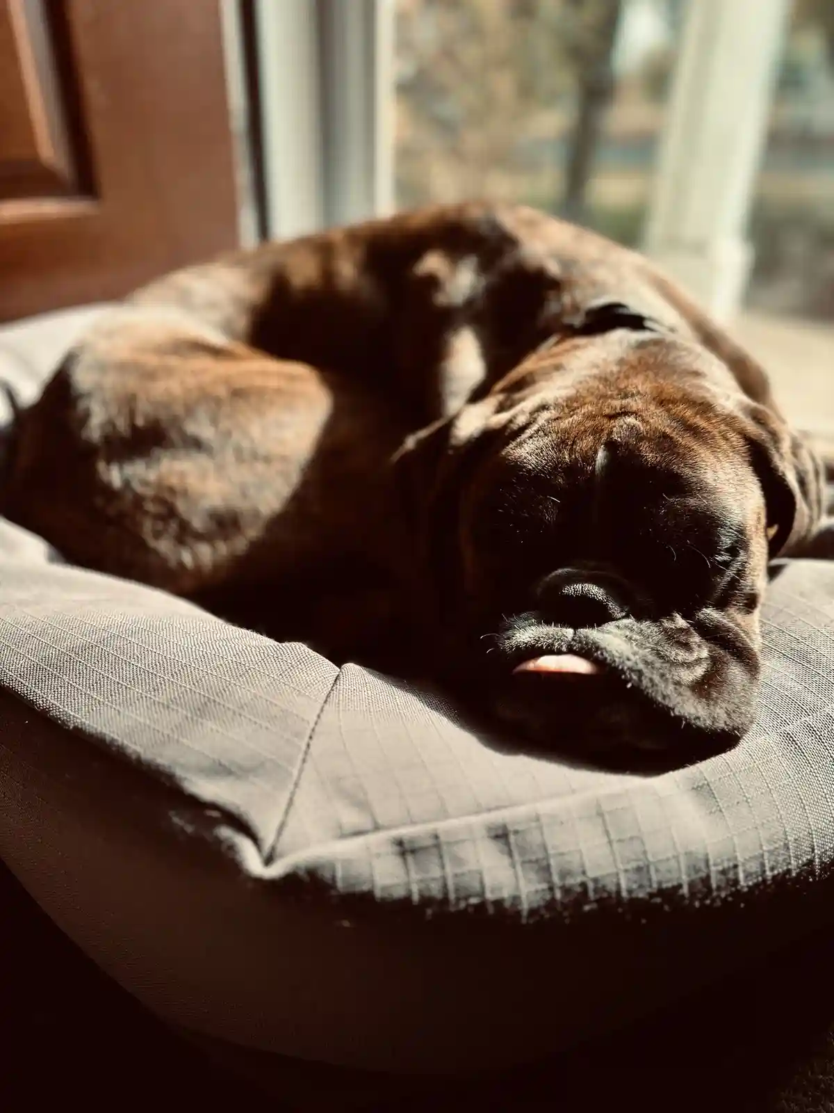 My adorable little sweetheart...