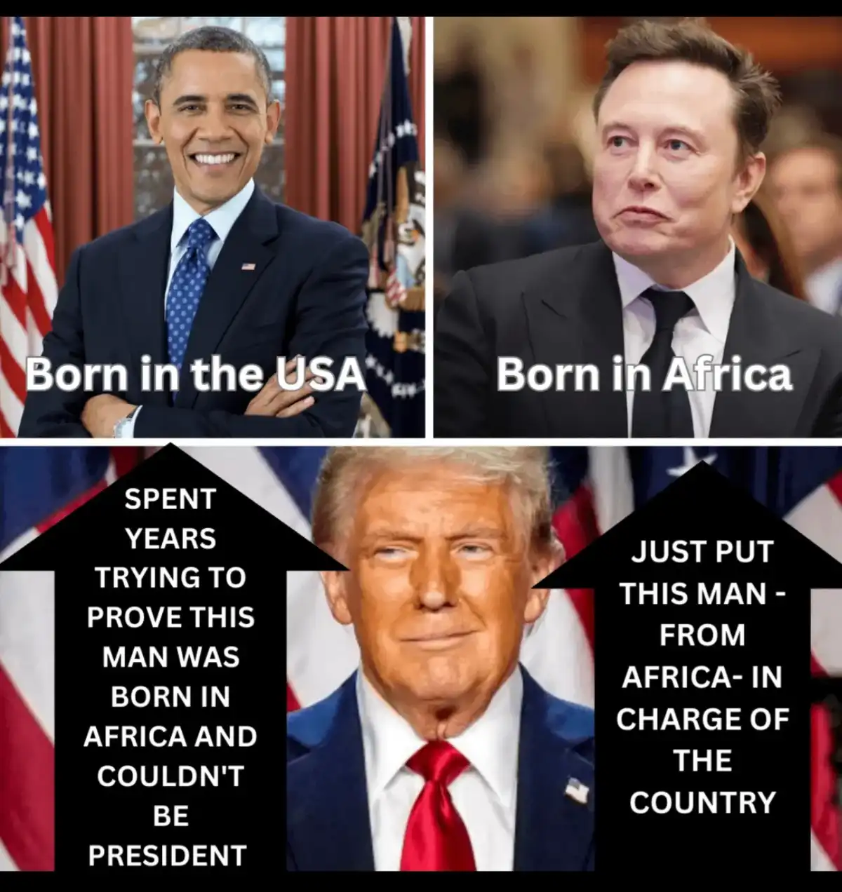 The meme displays three photos: Barack Obama with text 'Born in the USA', Elon Musk with 'Born in Africa', and Donald Trump…