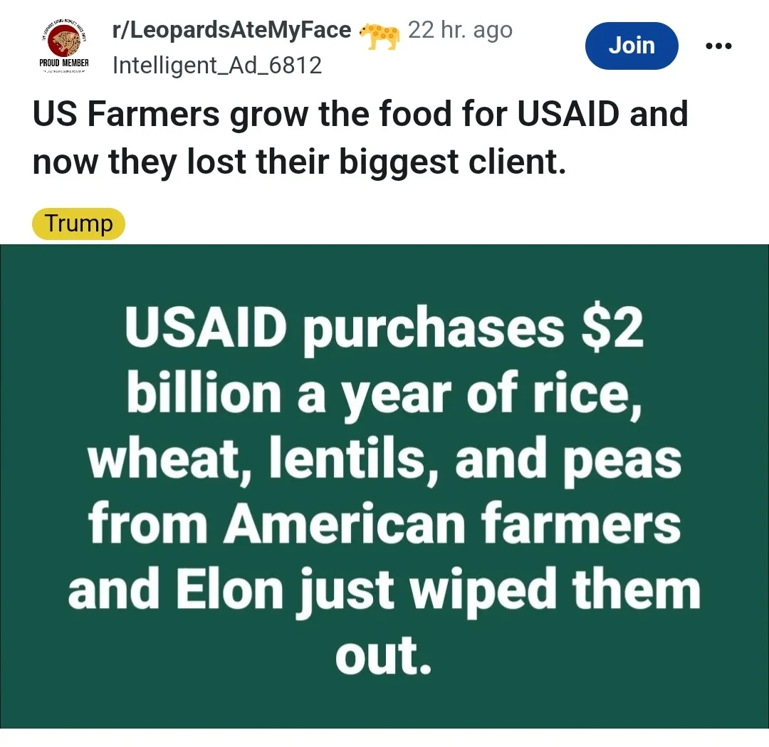 Leopards Devouring Faces: February Edition