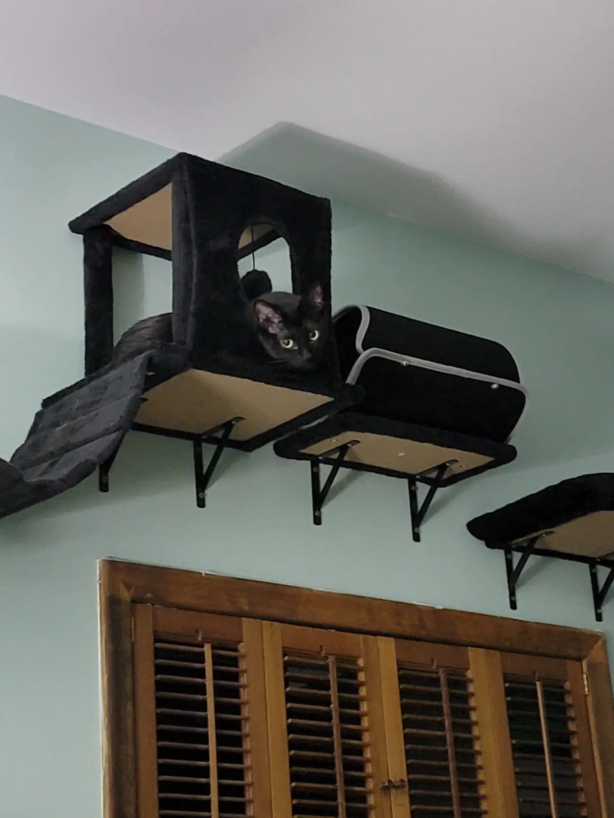 A black cat with bright yellow eyes is lounging on a high, wall-mounted cat tree structure, looking down. The structure…