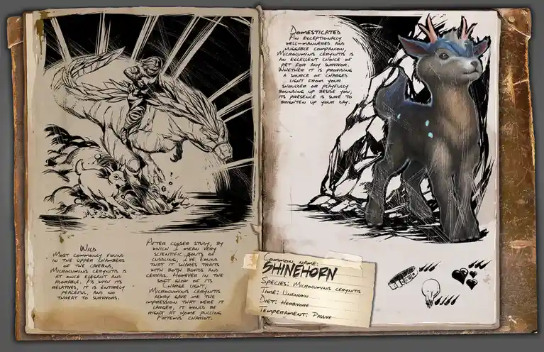 The Charming Shinehorn