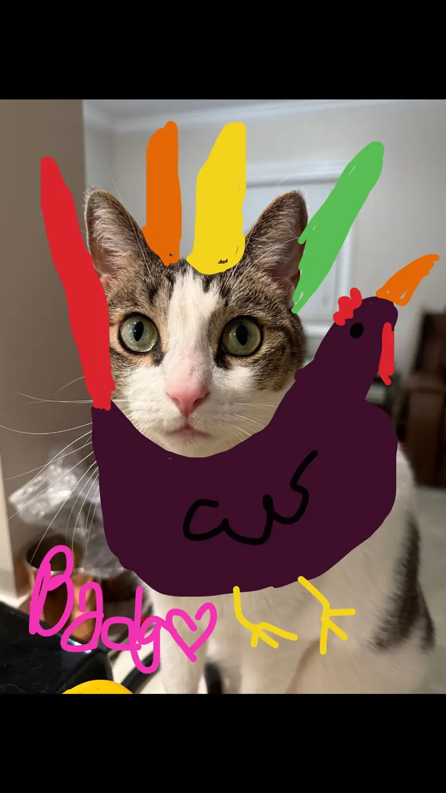 A close-up photo of a tabby and white cat with wide, unimpressed eyes, digitally edited to have a cartoonish purple chicken…