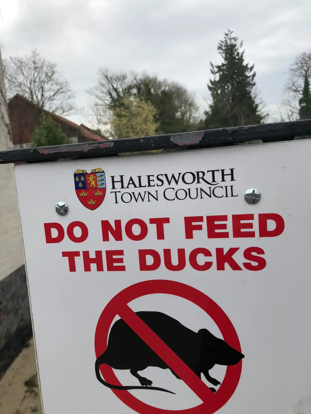 A white sign from Halesworth Town Council features the text 'DO NOT FEED THE DUCKS' in large red letters. Below the text is…