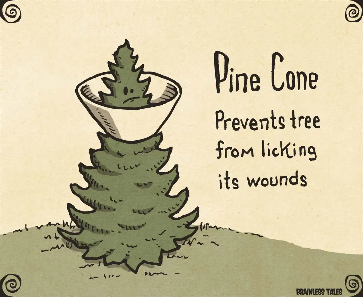 A cartoon drawing of a pine tree with a sad-looking pine cone sitting on top of its crown, as if wearing a hat. The text on…