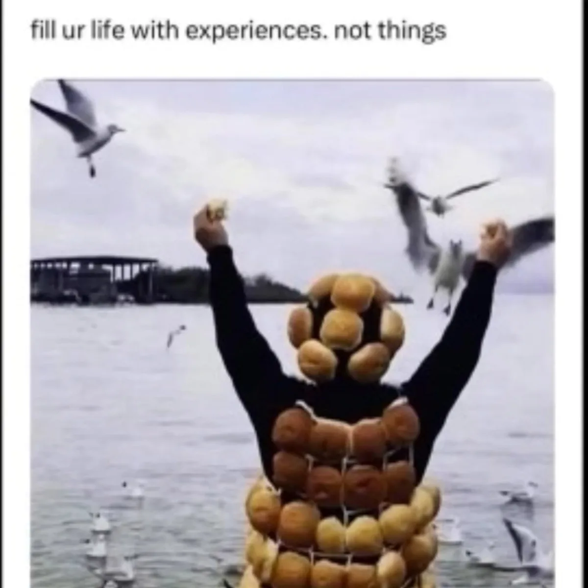 A person standing in water with arms raised, covered in a net of donuts, as seagulls fly around them. The text above reads…