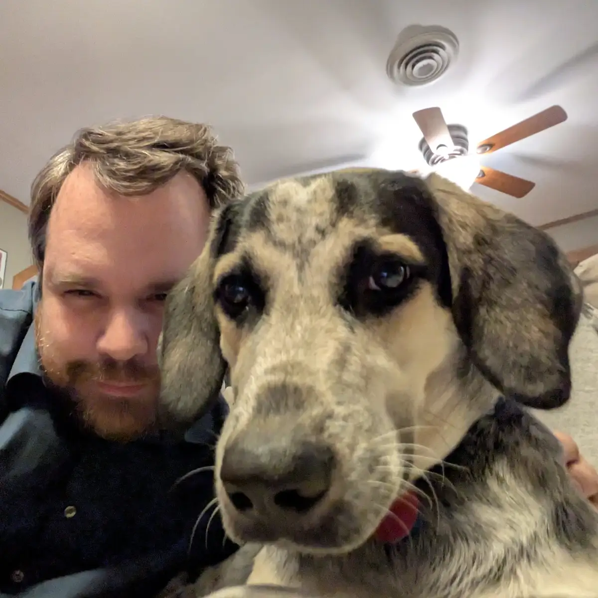 Festive Selfie with My Fuzzy Holiday Companion