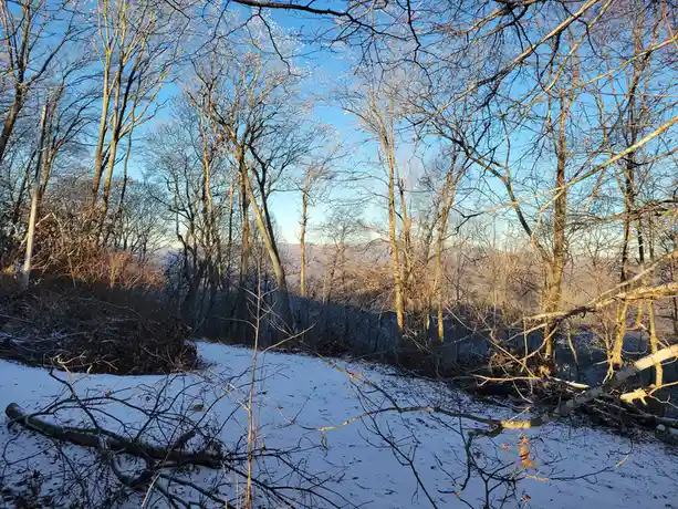 DecemBRRRRRR: a winter walk in the woods