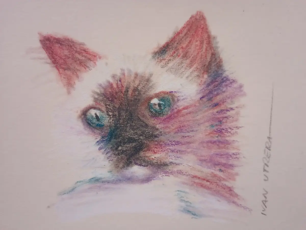 A pastel drawing of a cat's face with large blue eyes, reddish-pink ears, and a dark muzzle, signed 'ivan utzera' on the…