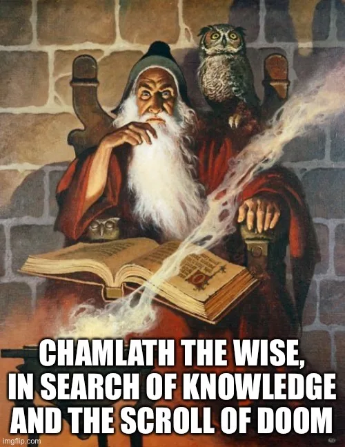 An illustration of a bearded wizard in a red robe, seated in a stone chair with an owl perched on his shoulder, intently…