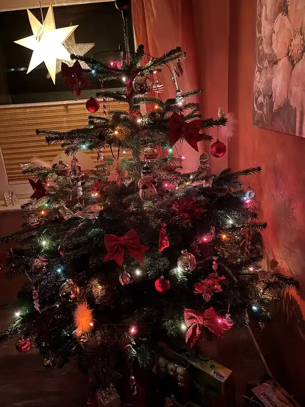 A warmly lit, densely decorated christmas tree with red bows, shiny ornaments, and colorful lights, set against a reddish…