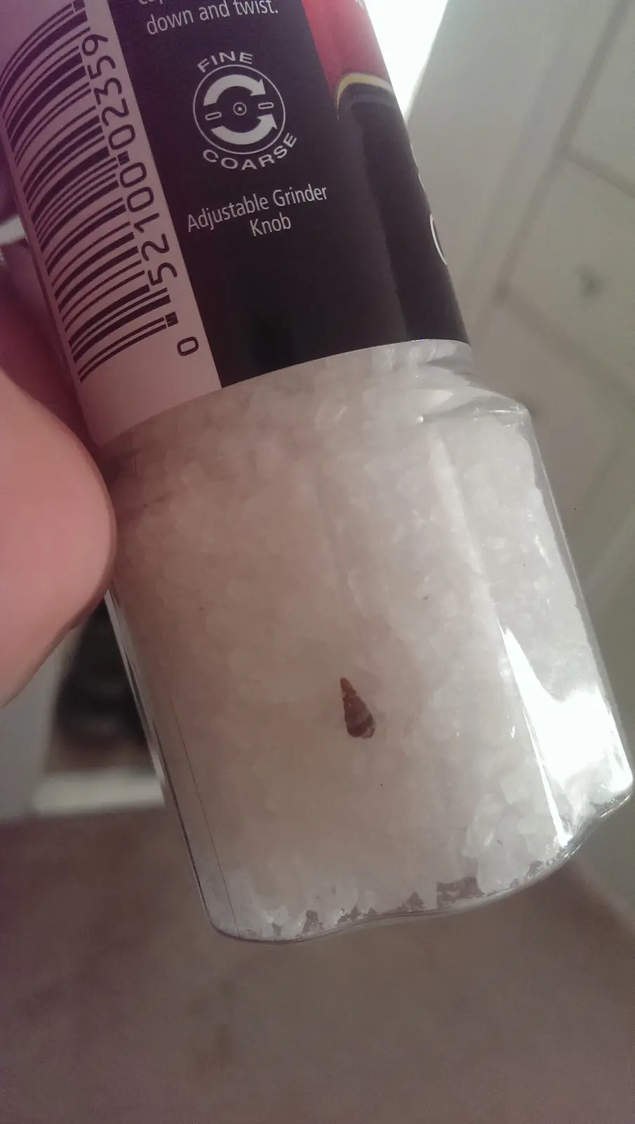 A close-up photo shows a hand holding a salt shaker filled with coarse salt crystals, with a tiny, brown snail shell visible…