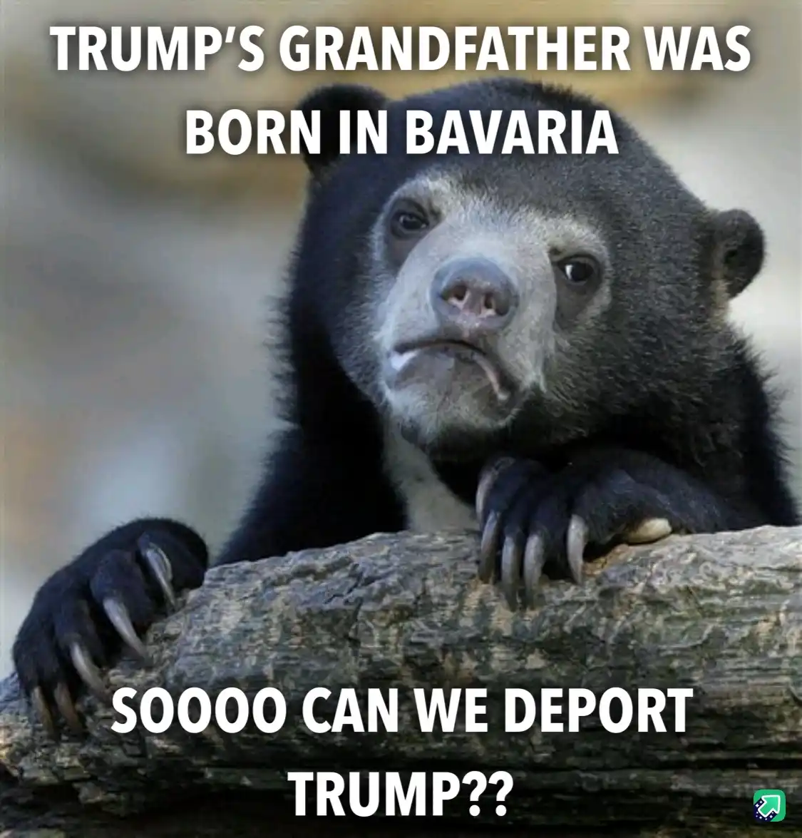 A black bear with a confused, skeptical expression rests its paws on a log. White text overlaid at the top reads 'TRUMP'S…
