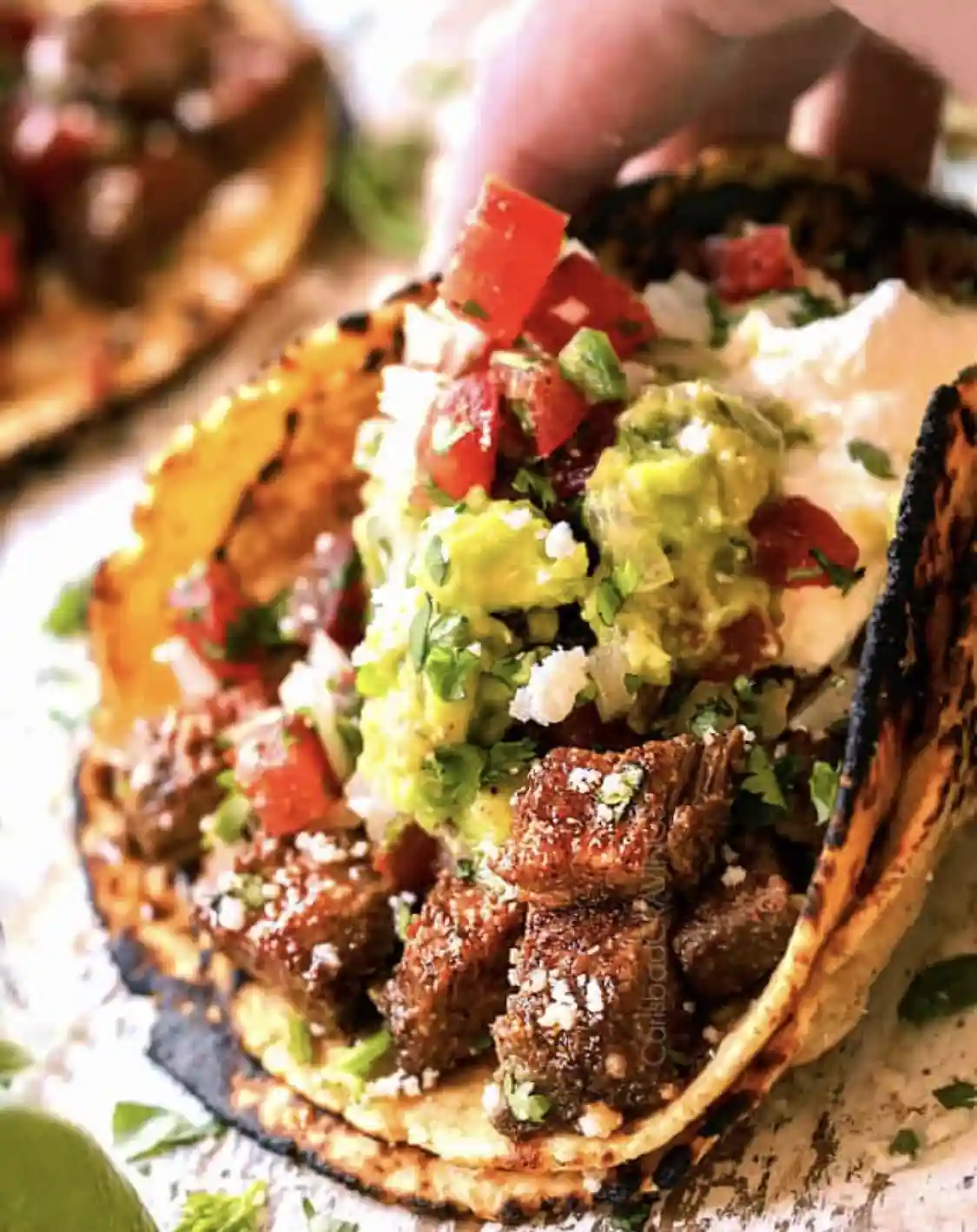 It's Taco Tuesday! Dig In, Everyone!