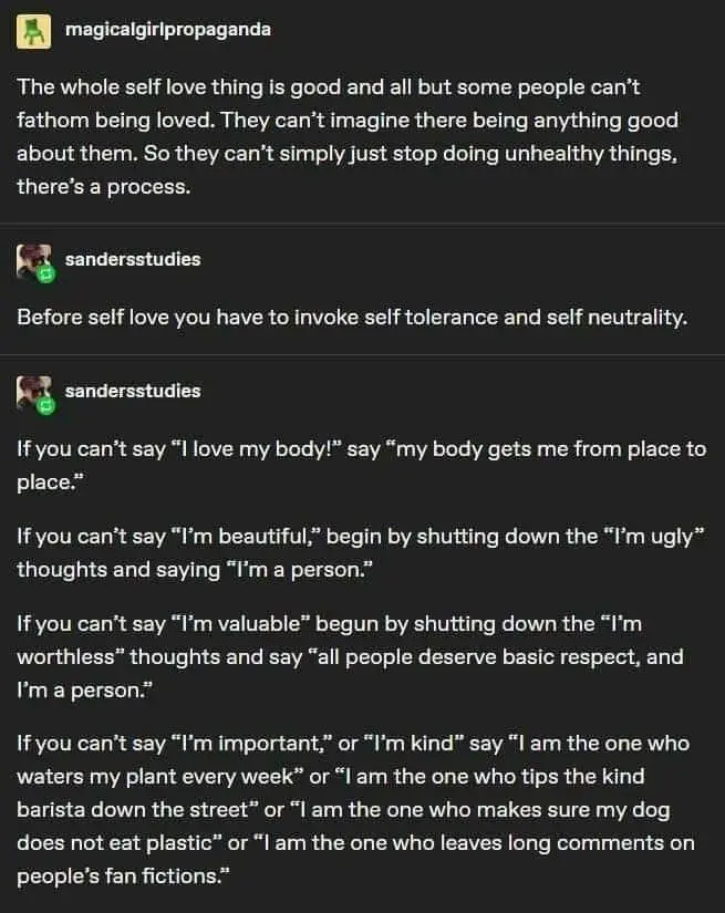 A screenshot of a social media thread where user 'sandersstudies' advises on a 'process' for self-love, suggesting…