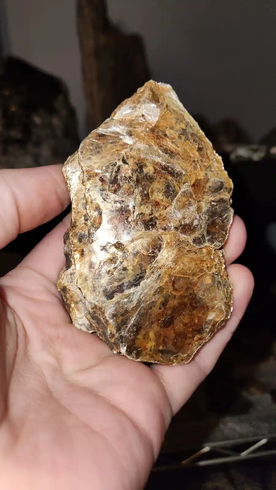 The Enigmatic Golden Biotite