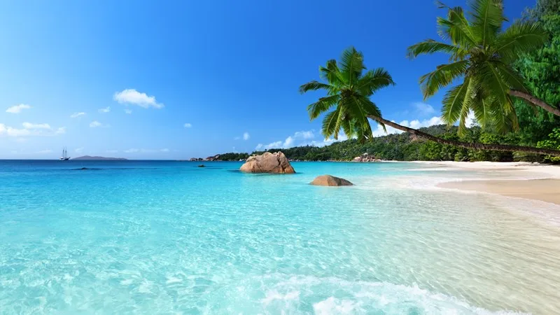 A serene tropical beach scene with turquoise water, white sand, palm trees, and a sailboat in the distance. Overlaid text…