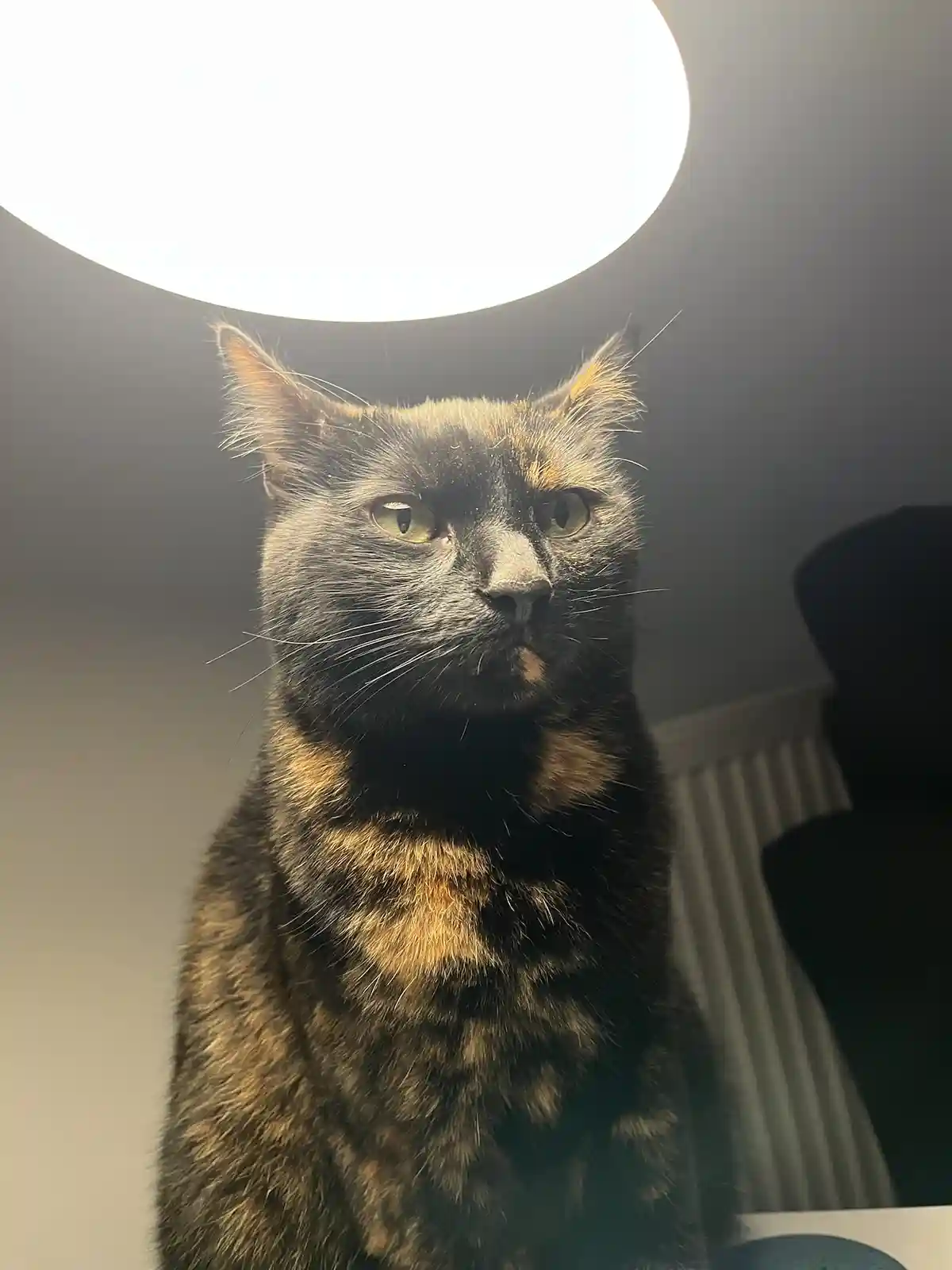 She definitely had a brilliant idea!