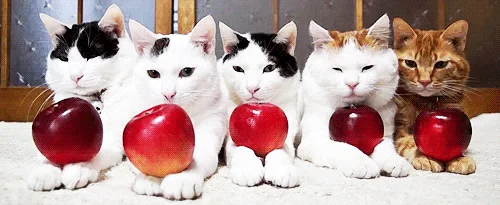 A Friendly Greeting: Just Saying Hello!