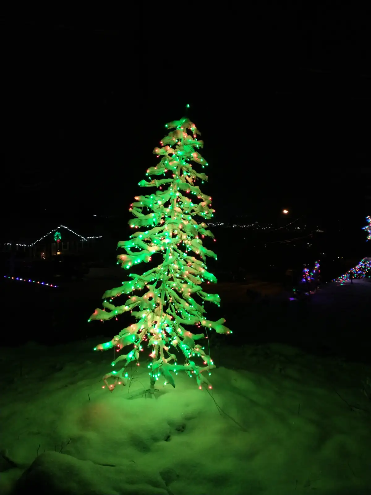 A Magical Snowy Tree Illuminated by Light