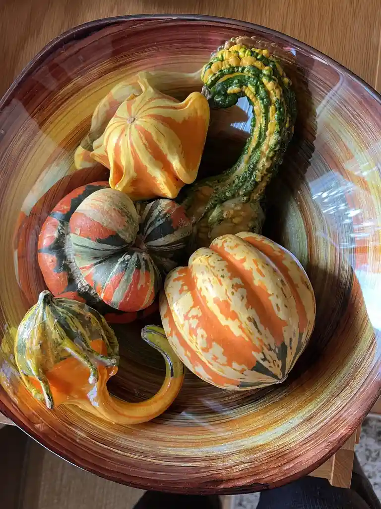 A colorful bowl holds several decorative gourds with varied shapes and patterns in orange, green, and cream. The overlaid…