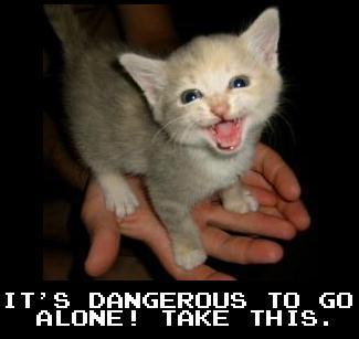 A small, light-colored kitten with wide, expressive eyes and an open mouth is being held gently in a person's cupped hands…