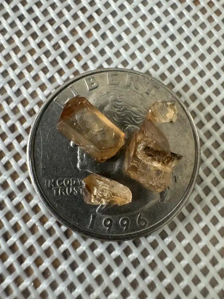 The bizarre results of a mushroom experiment