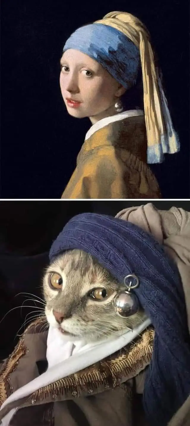 The image is a two-panel meme. The top panel shows Johannes Vermeer's famous painting 'Girl with a Pearl Earring'. The…