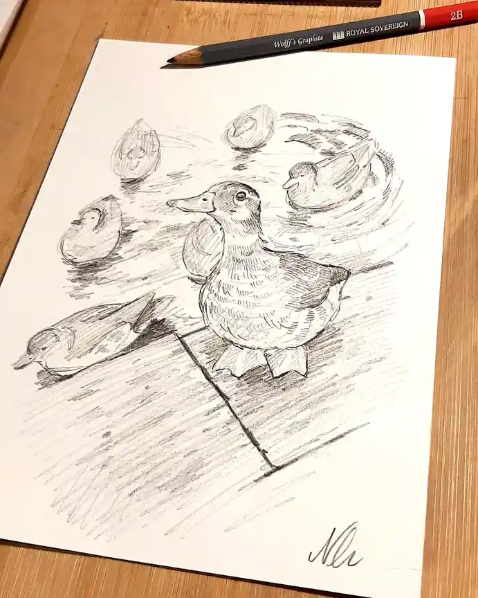 A Charming Little Duck Enjoys Its Pondside Adventure