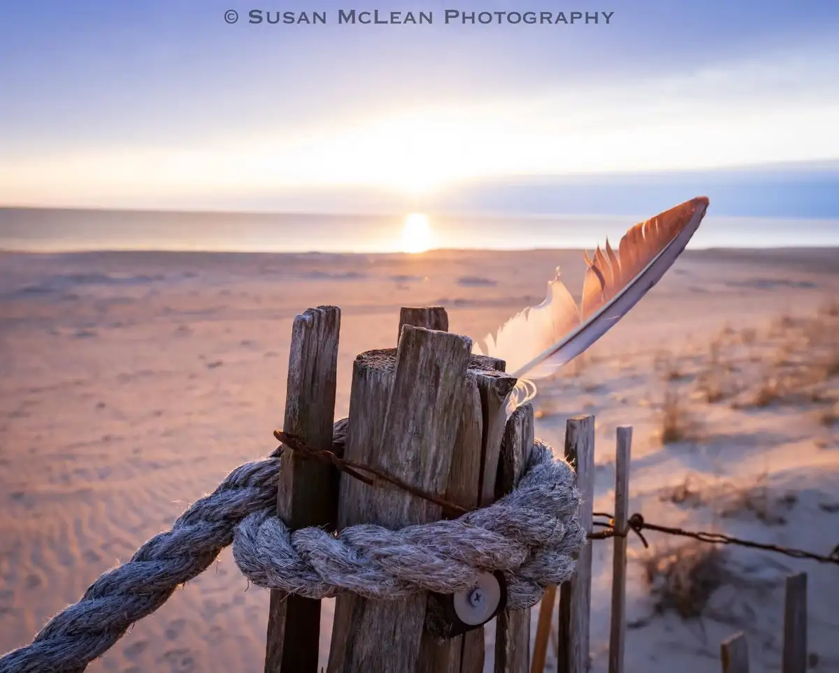 A serene beach sunset photo shows a single feather resting on a weathered wooden fence post tied with thick rope. The…