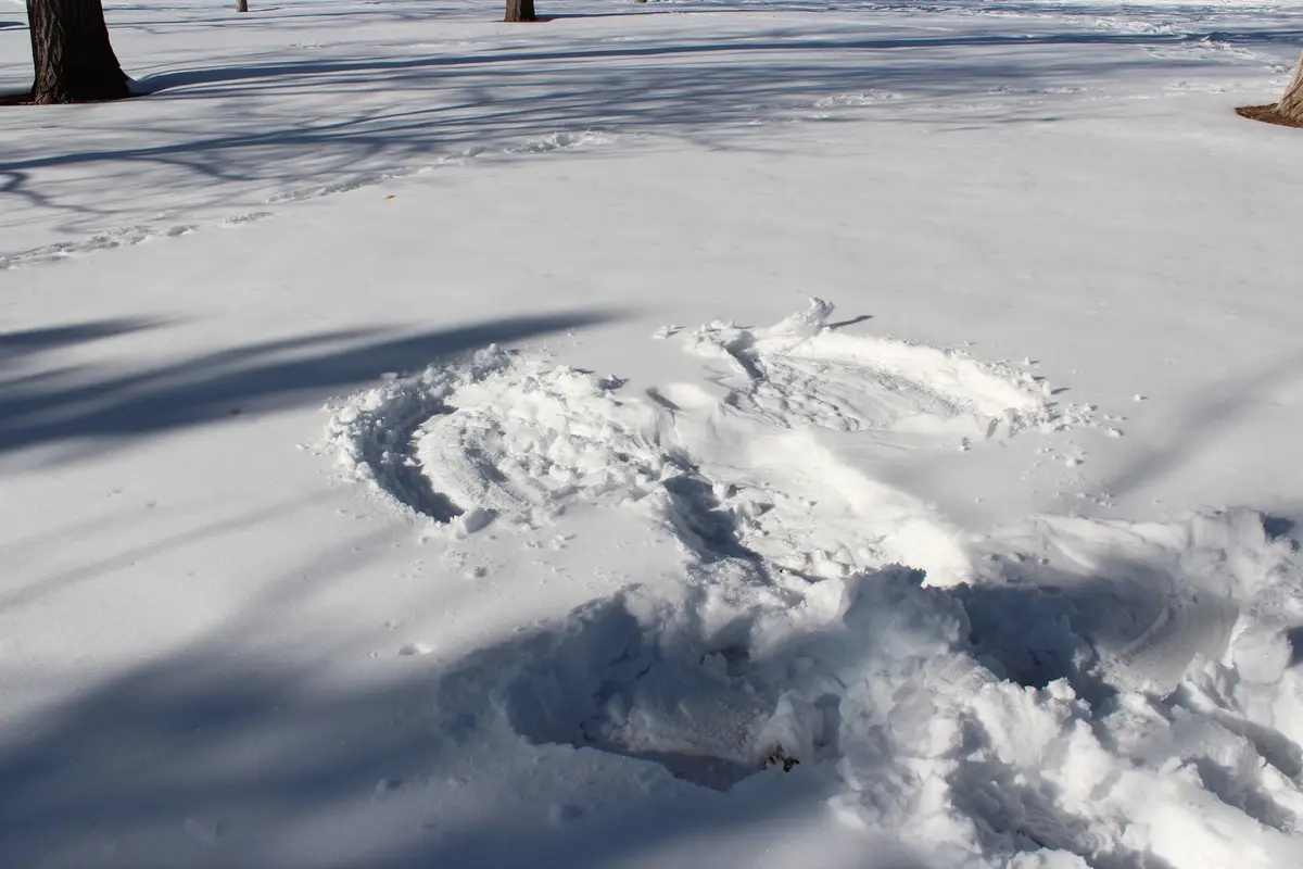 A snowy outdoor scene shows a disturbed patch of snow with a partially formed, messy circular shape resembling a snow angel…