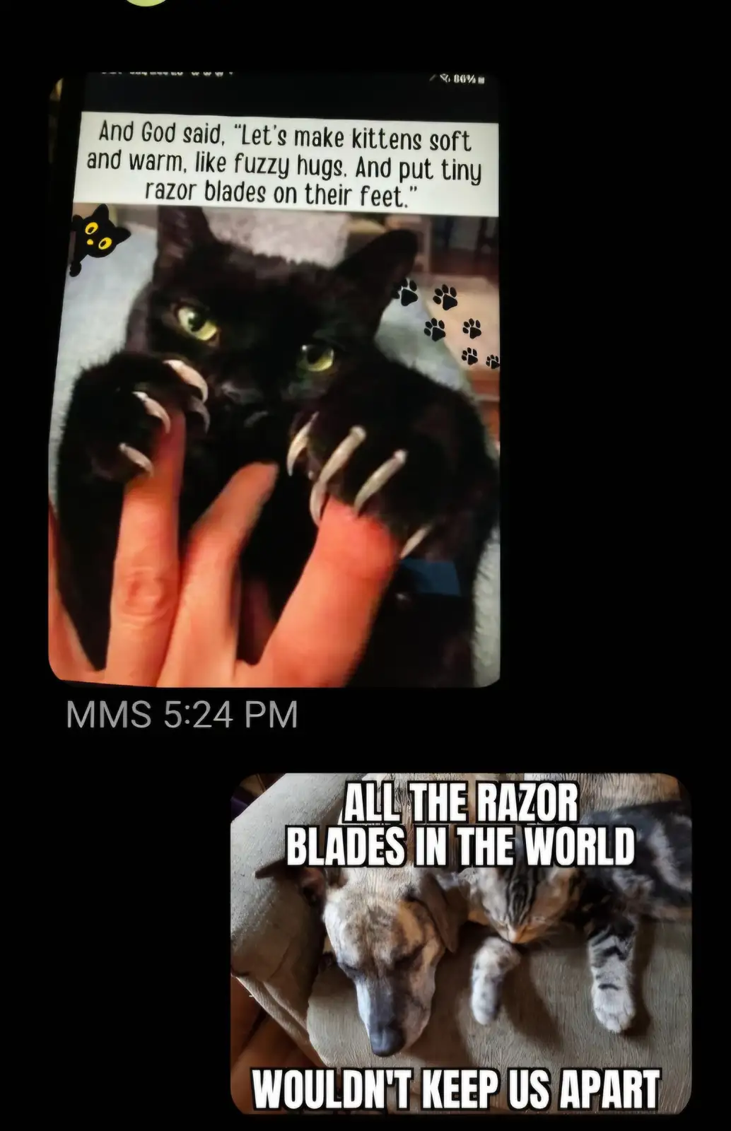 The top image shows a black cat with sharp claws digging into a person's fingers, overlaid with text quoting God's creation…