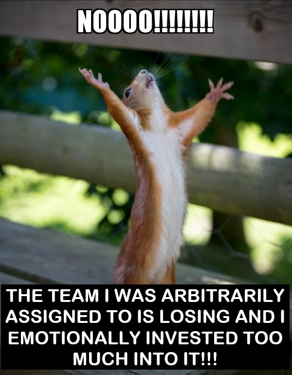 Let's Go, Acorns! Time to Shine!