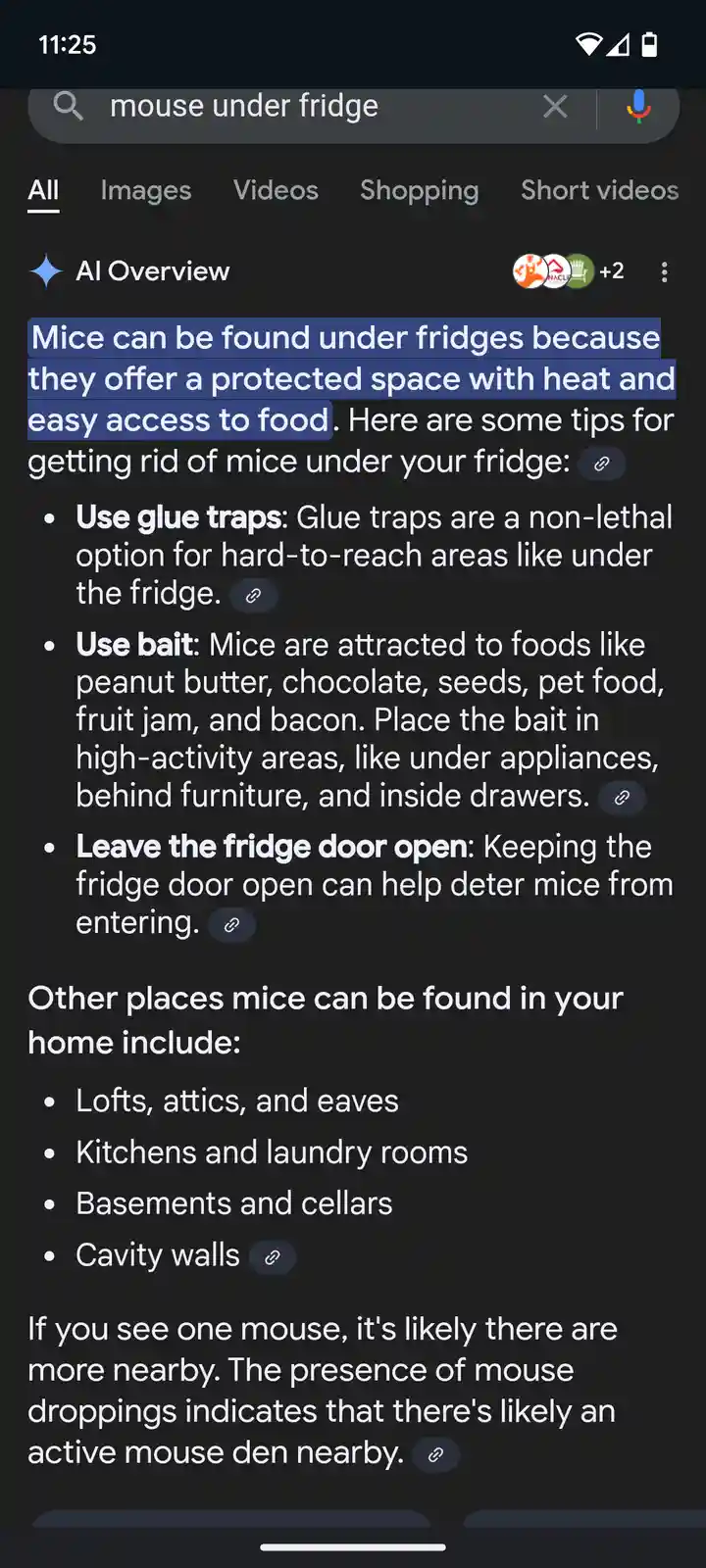 The Third Tip: Definitely Not Penned by a Mouse!