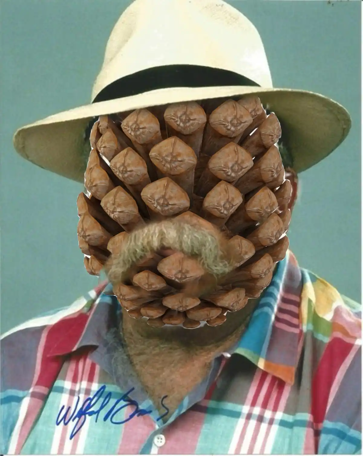 A man wearing a straw hat and a colorful plaid shirt has a large pinecone digitally superimposed over his face, obscuring…