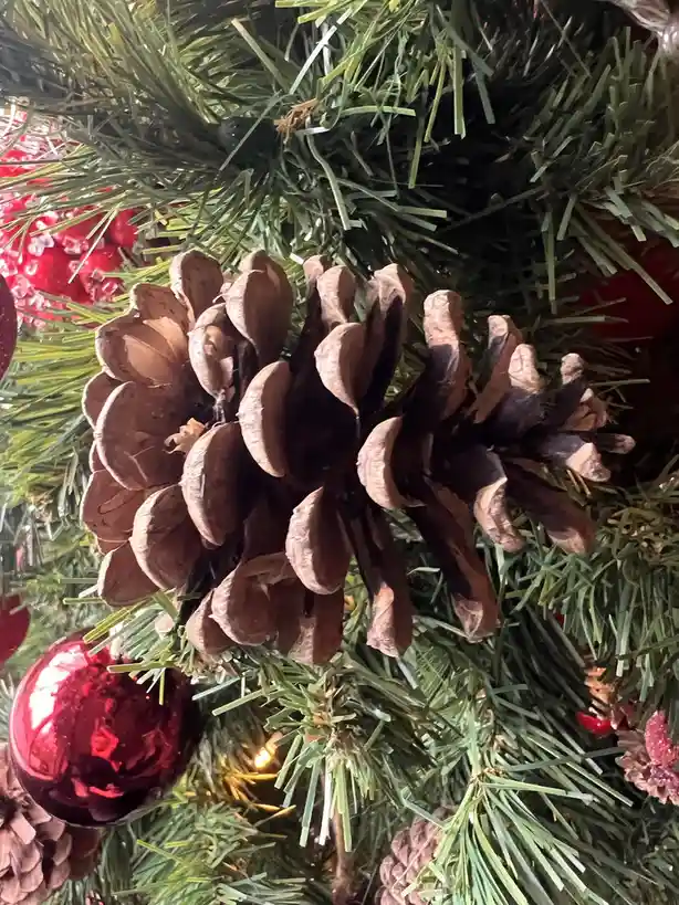The Mighty Team Pinecone Rises