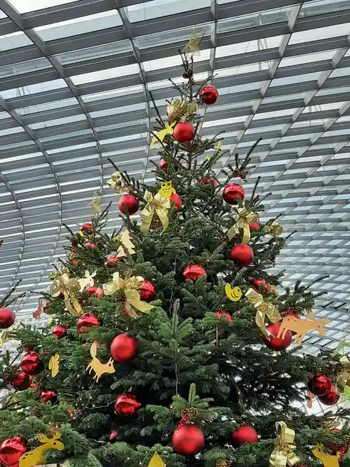 It's December! Time for Holiday Cheer!